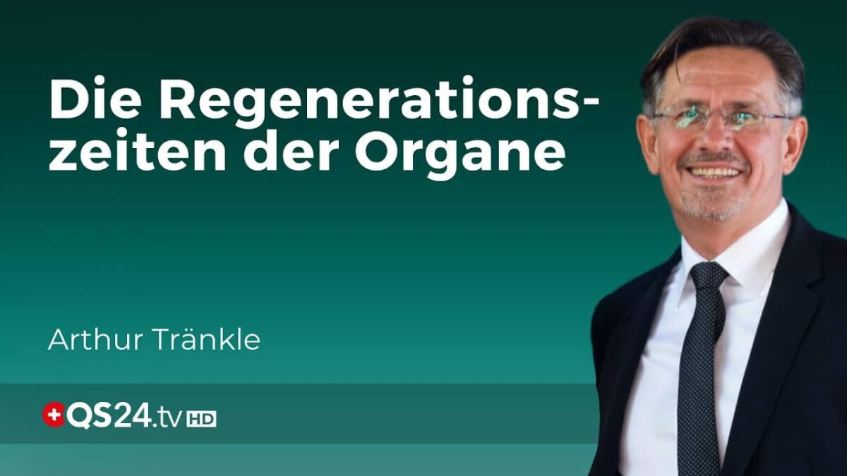 Unsere innere Organuhr und wie wir sie unterstützen können | Erfahrungsmedizin | QS24