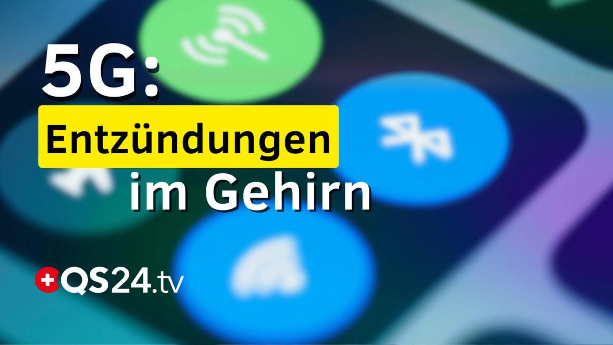 Die Folgen von Neuroinflammation und innovative Lösungsansätze