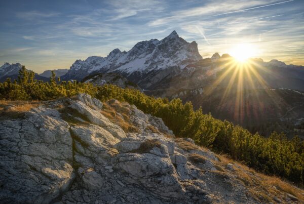 aussicht baume berge 618833