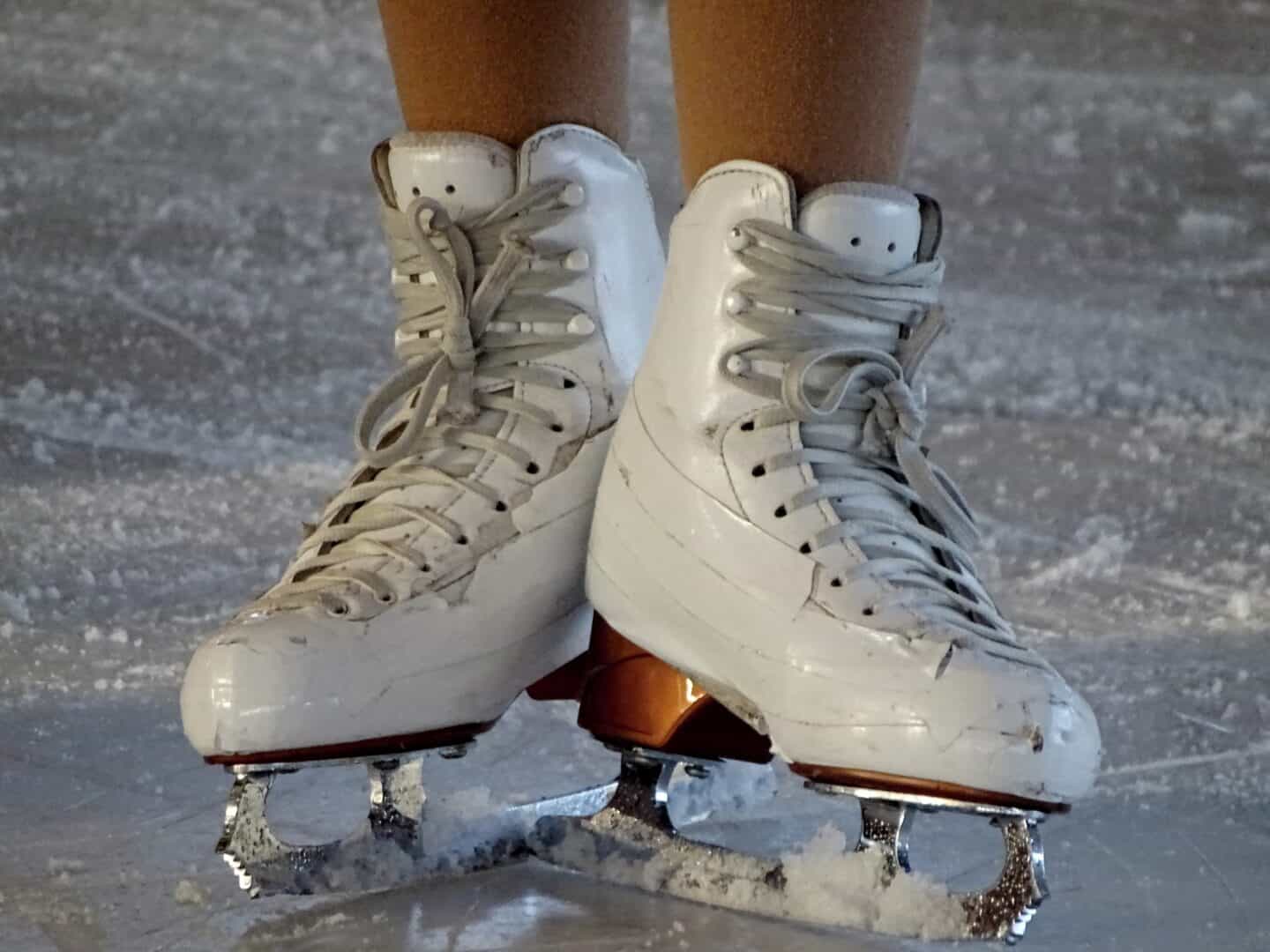 skates 2176562