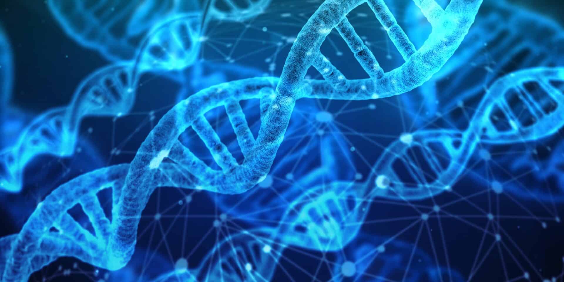 NanoVi