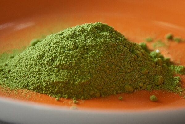 gutes Moringa