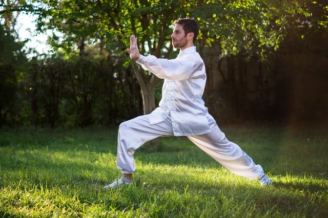 Tai Chi Lehrgang – Die ersten Figuren | Teil 1