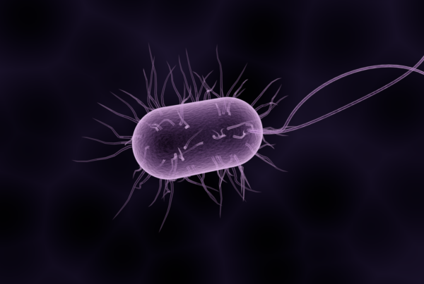 bacteria 1832824