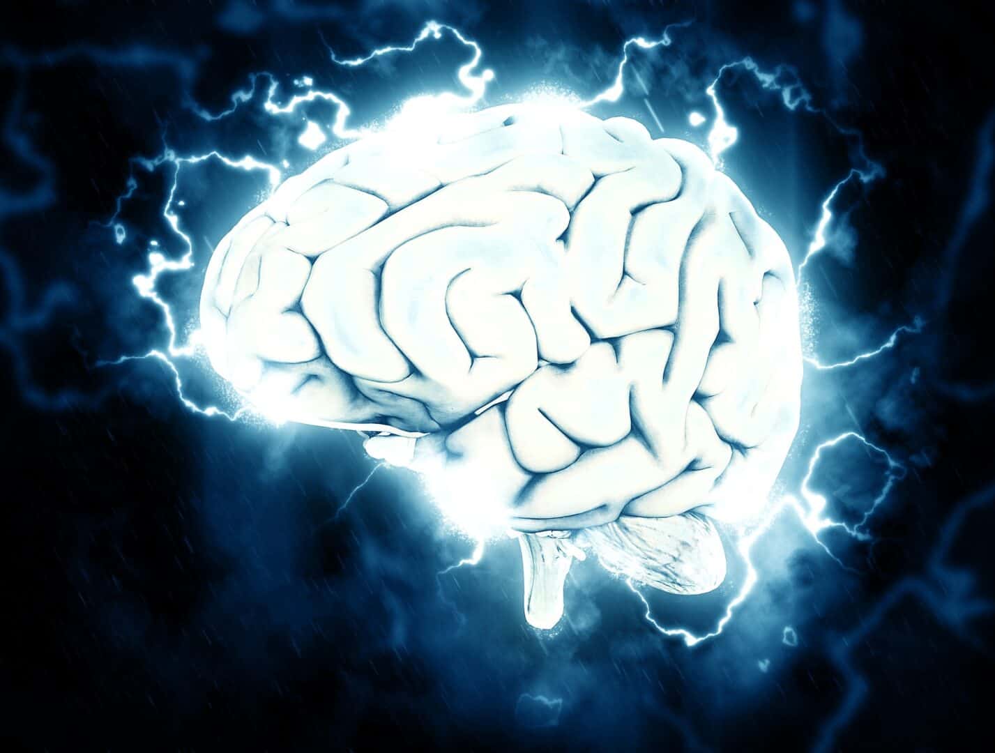 QS24 Wirkt 3 brain 1845962 1920