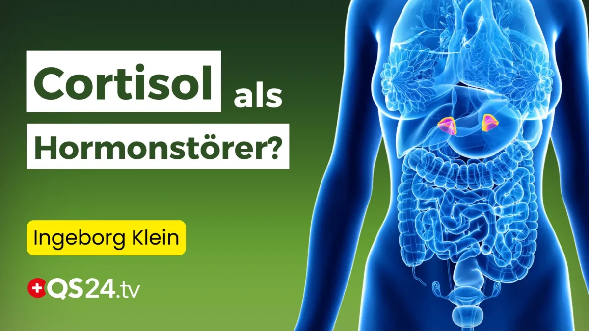 Die Rolle von Hormonen im Leben der Frauen: Cortisol und Co.