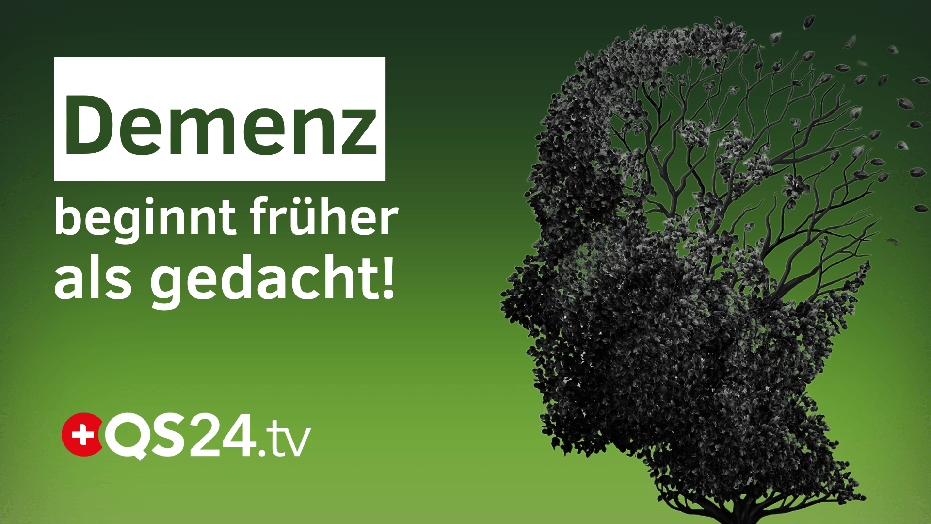 Demenz vorbeugen Neurowissenschaftliche Strategien für ein fittes Gehirn