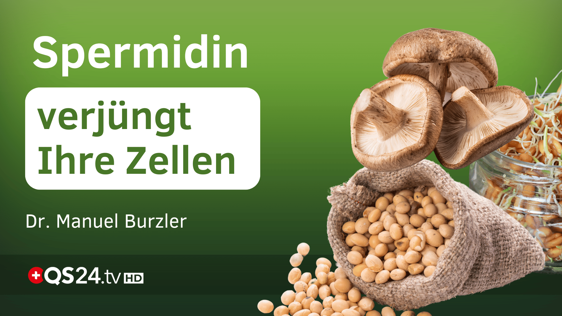 Ihr Körper kann sich selbst verjüngen Spermidin zeigt wie