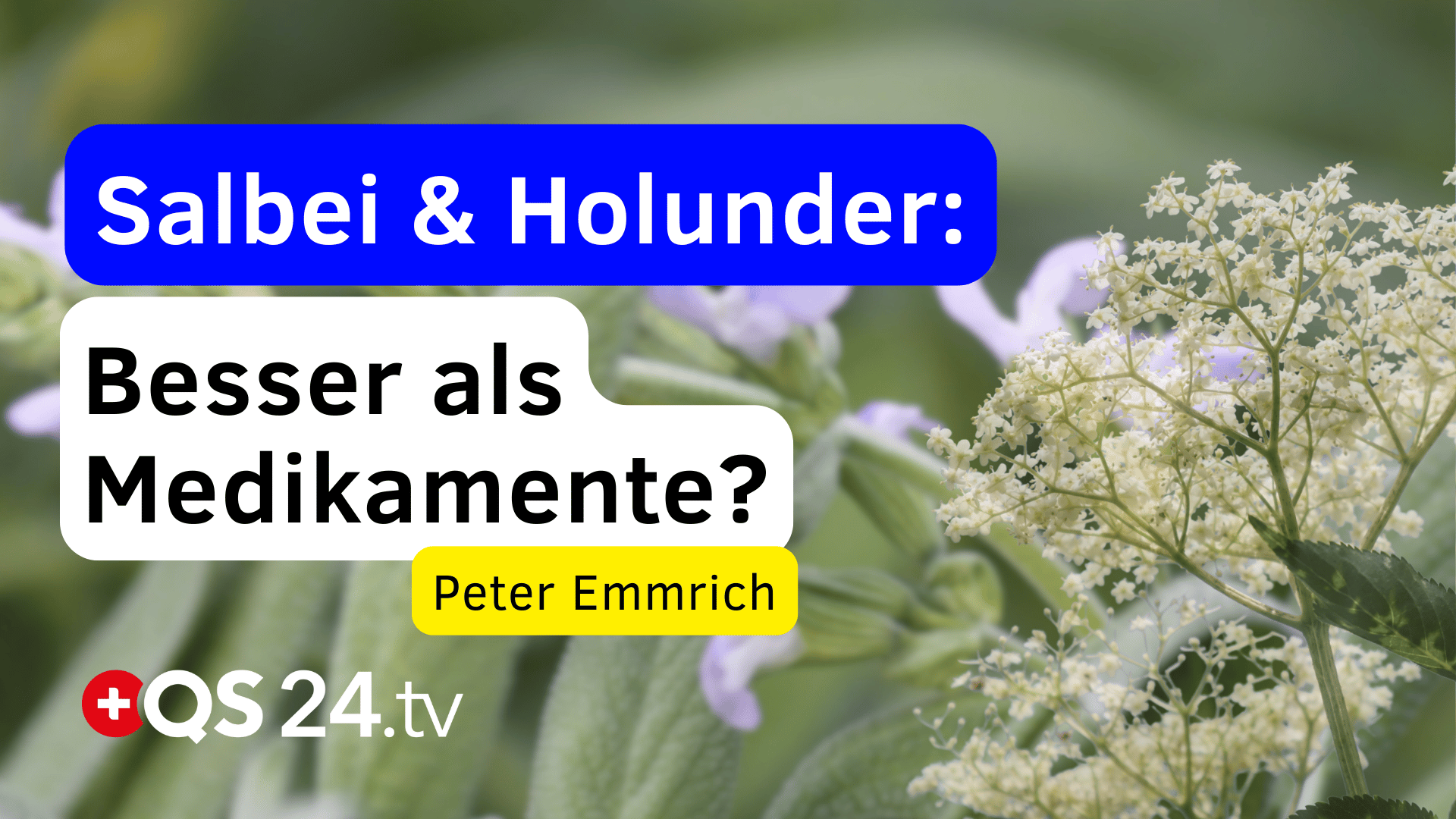 Salbei Holunder Die unterschätzten Naturwunder bei Infekten Viren mehr Urtinkturen