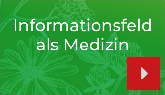 informationsfeld als medizin hs